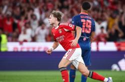 天博官网app下载关于清晨本菲卡单刀错失——葡超节点到来，媒体盛赞，球队文化再被提及的信息